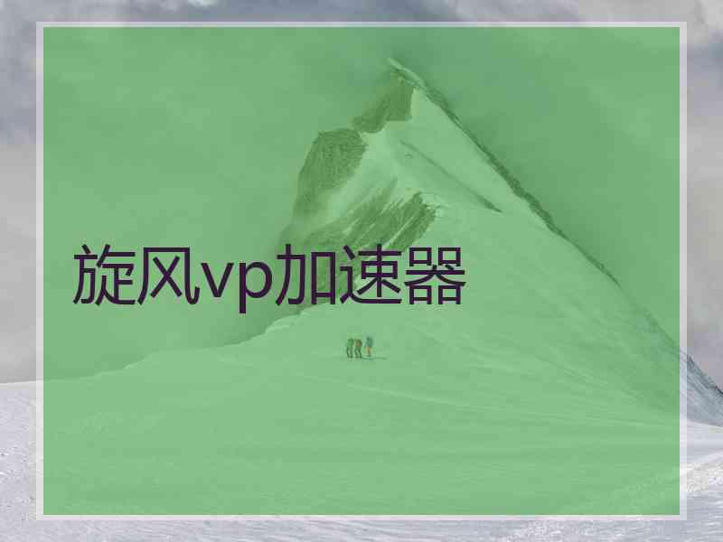 旋风vp加速器