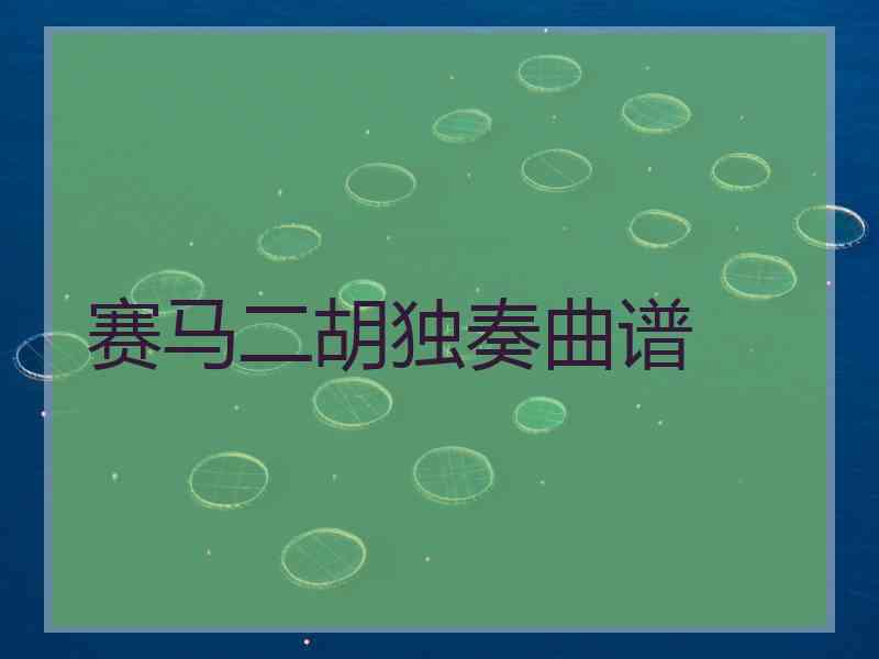 赛马二胡独奏曲谱