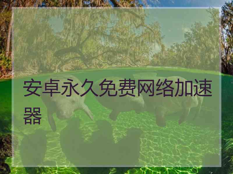 安卓永久免费网络加速器