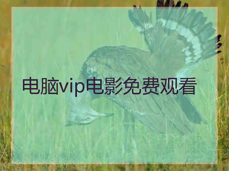 电脑vip电影免费观看
