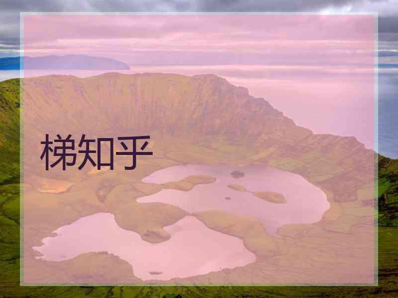 梯知乎