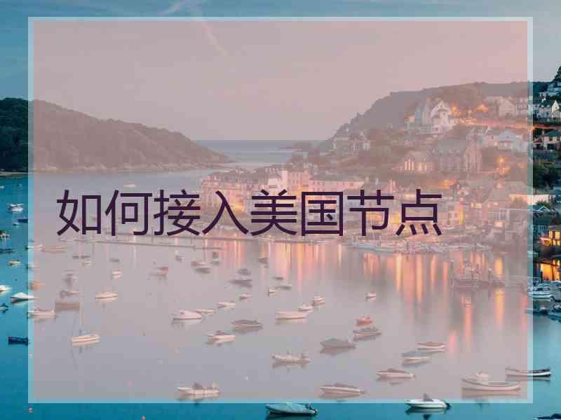如何接入美国节点