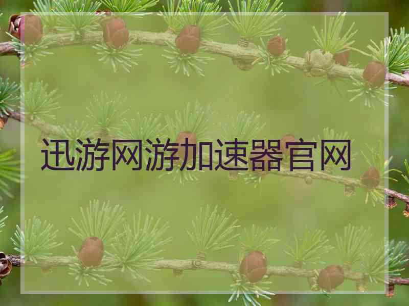 迅游网游加速器官网