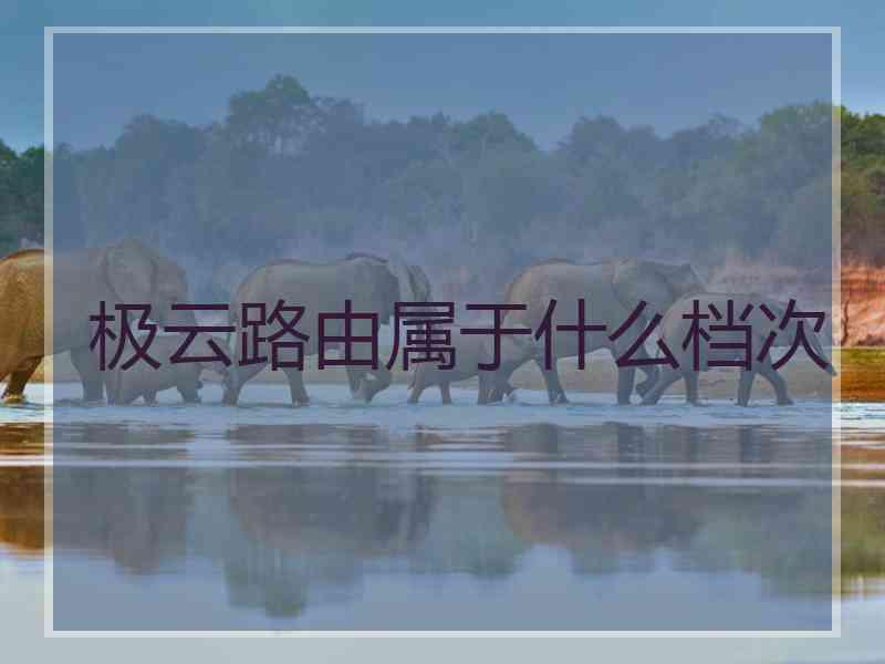 极云路由属于什么档次