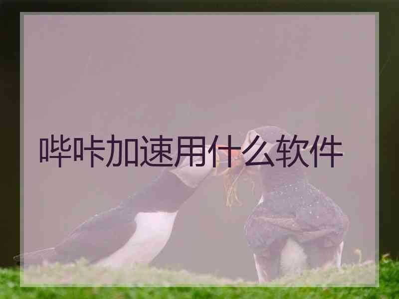 哔咔加速用什么软件