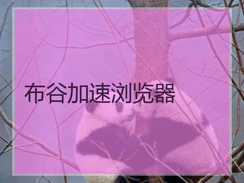 布谷加速浏览器