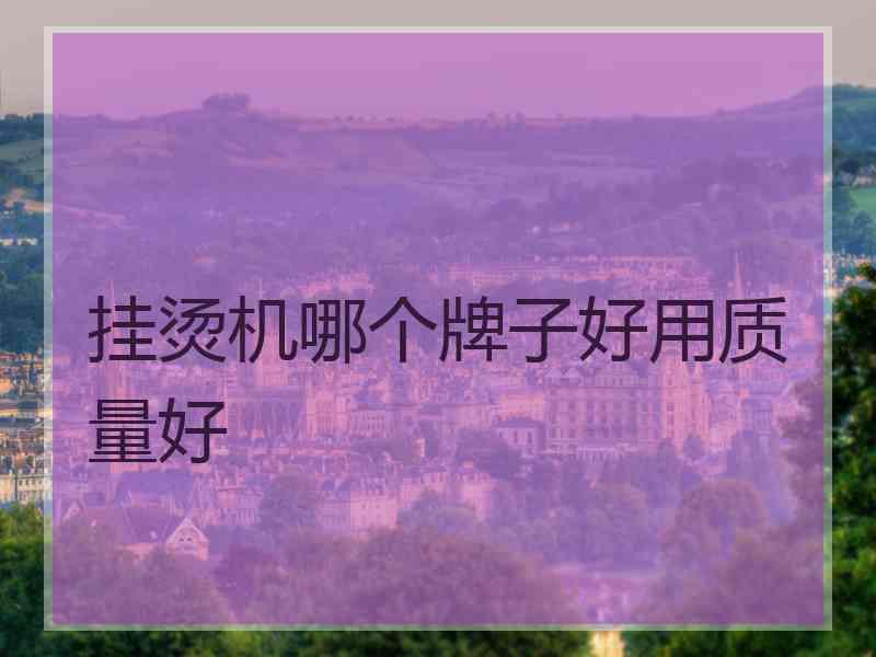 挂烫机哪个牌子好用质量好