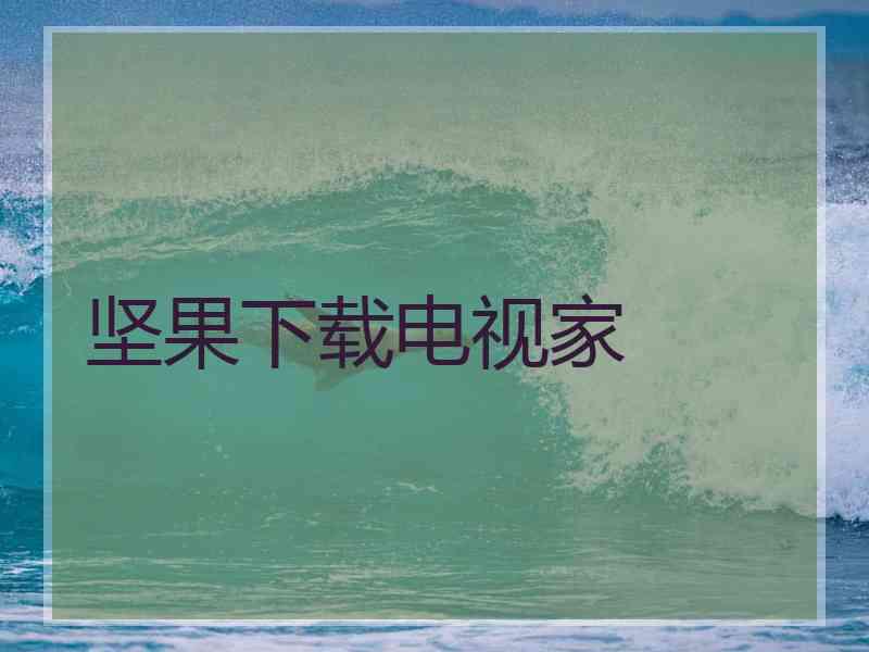 坚果下载电视家