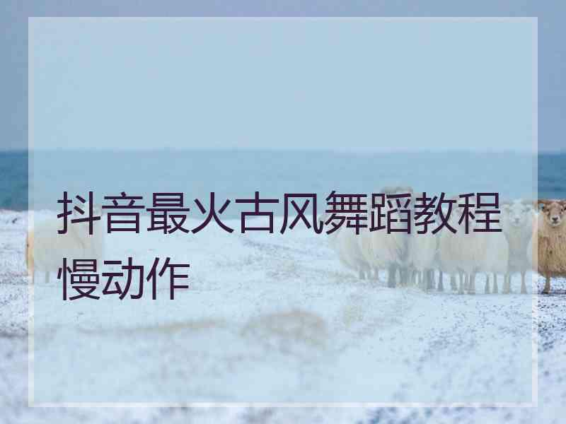 抖音最火古风舞蹈教程慢动作