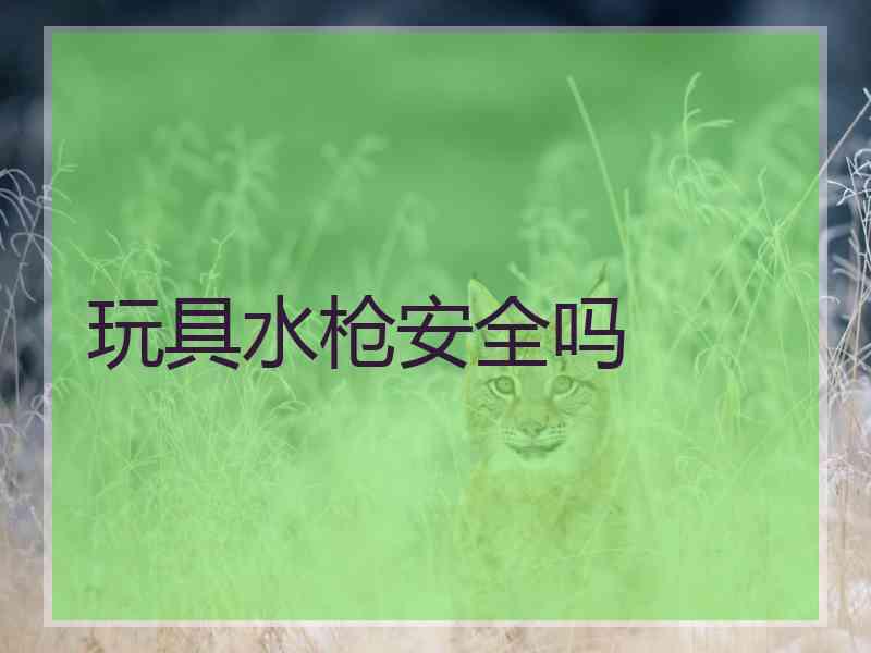 玩具水枪安全吗
