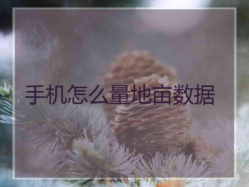 手机怎么量地亩数据