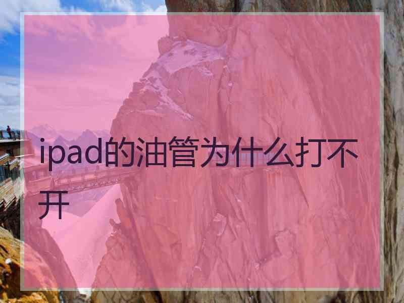 ipad的油管为什么打不开