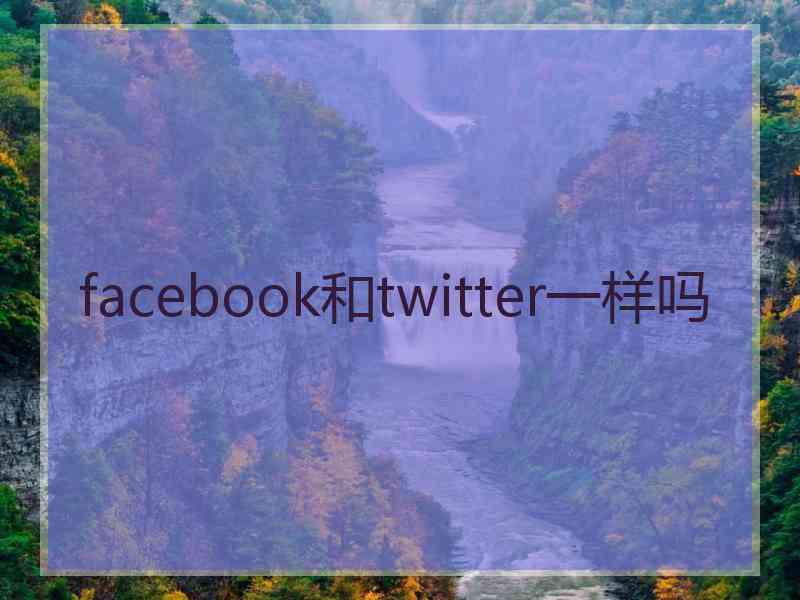 facebook和twitter一样吗