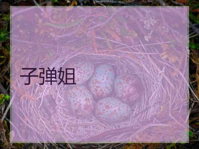 子弹姐