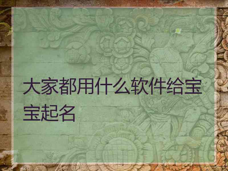 大家都用什么软件给宝宝起名