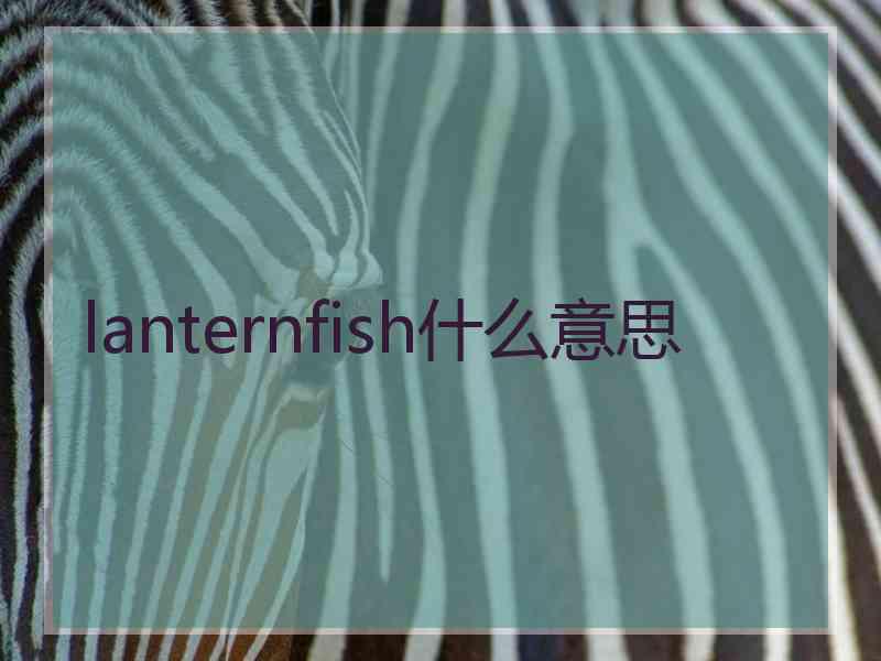 lanternfish什么意思