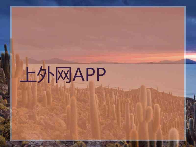 上外网APP