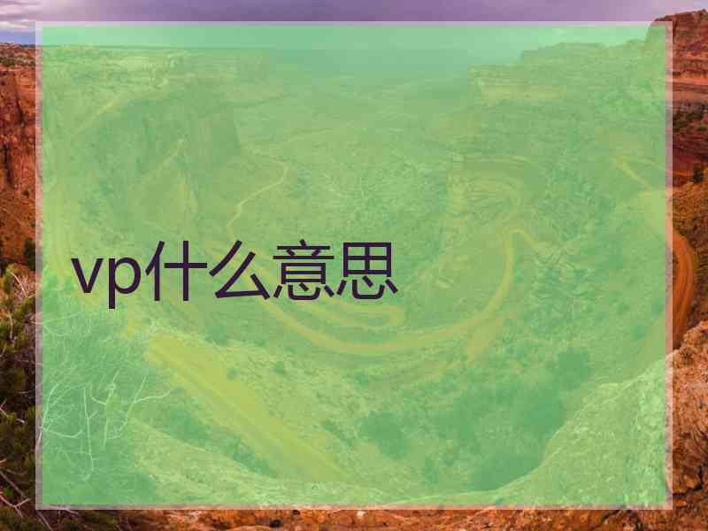 vp什么意思