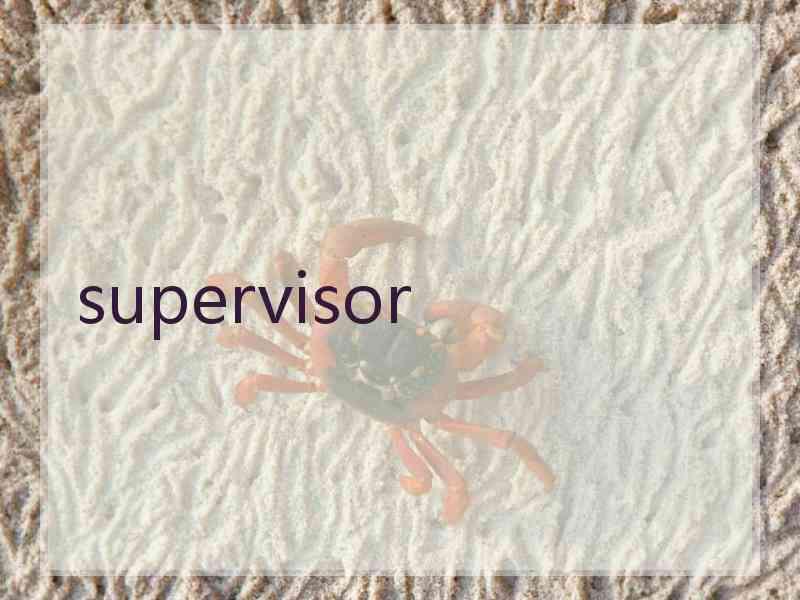 supervisor
