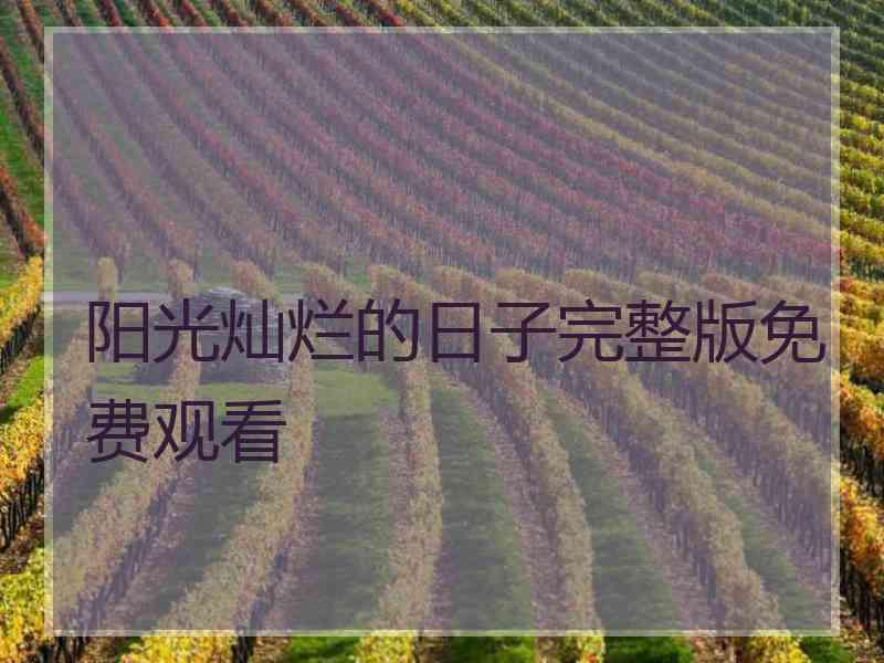 阳光灿烂的日子完整版免费观看