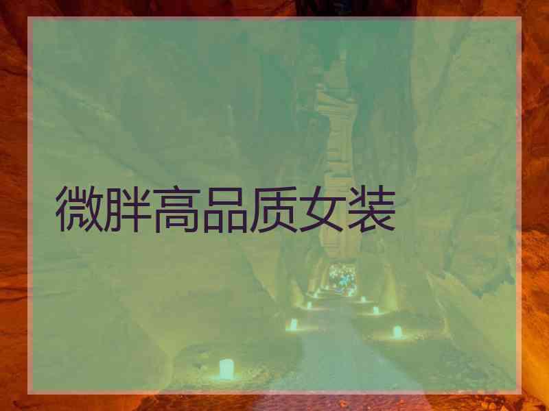 微胖高品质女装