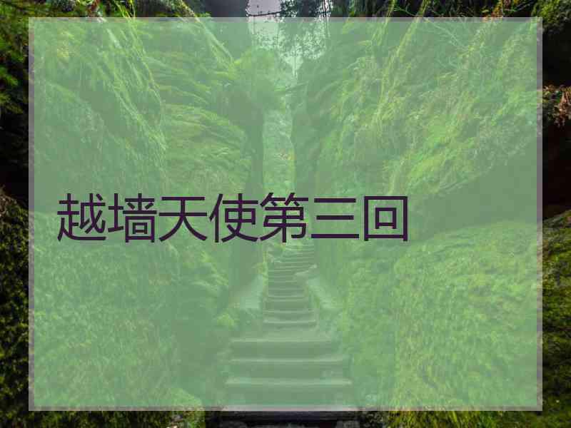 越墙天使第三回
