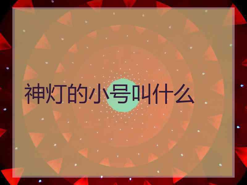 神灯的小号叫什么