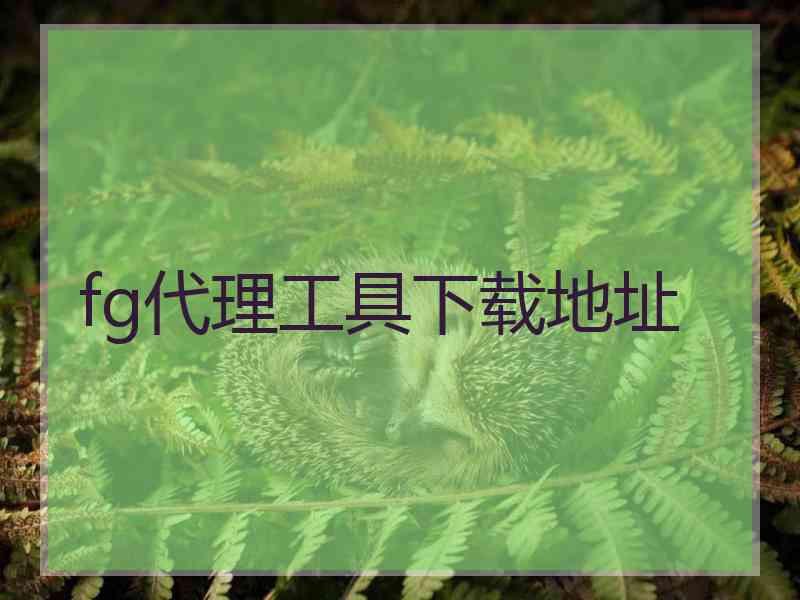 fg代理工具下载地址