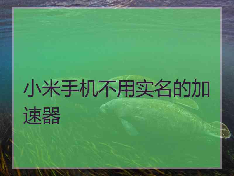 小米手机不用实名的加速器