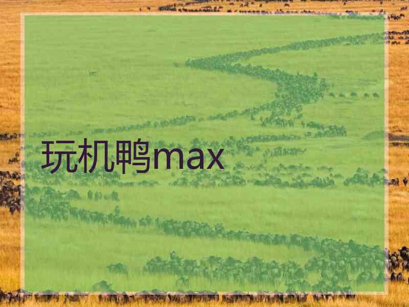 玩机鸭max