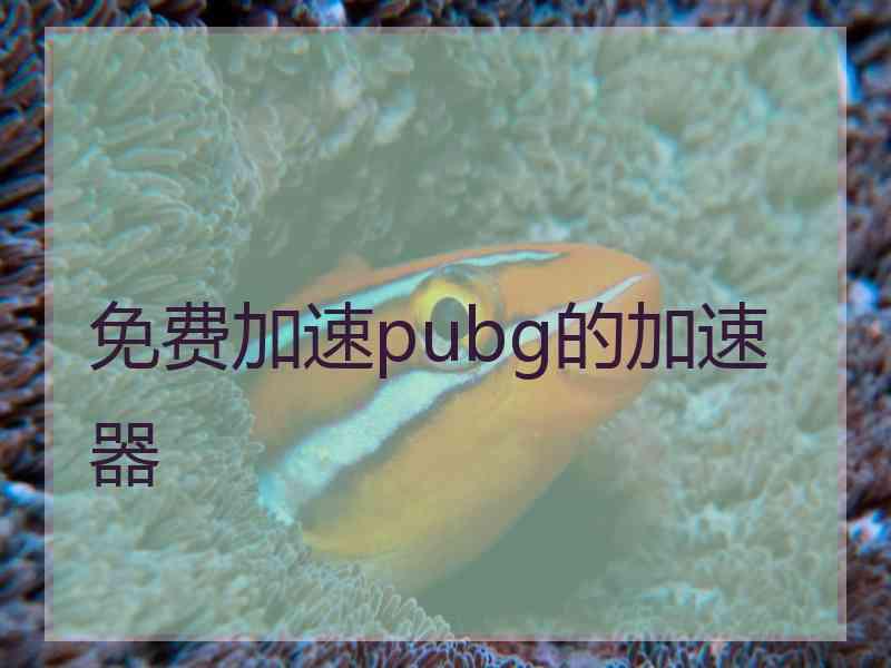 免费加速pubg的加速器