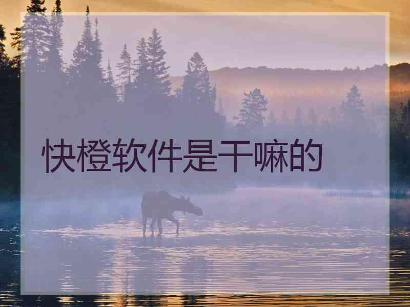 快橙软件是干嘛的