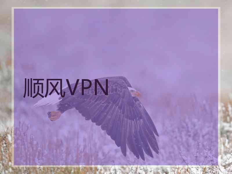 顺风VPN