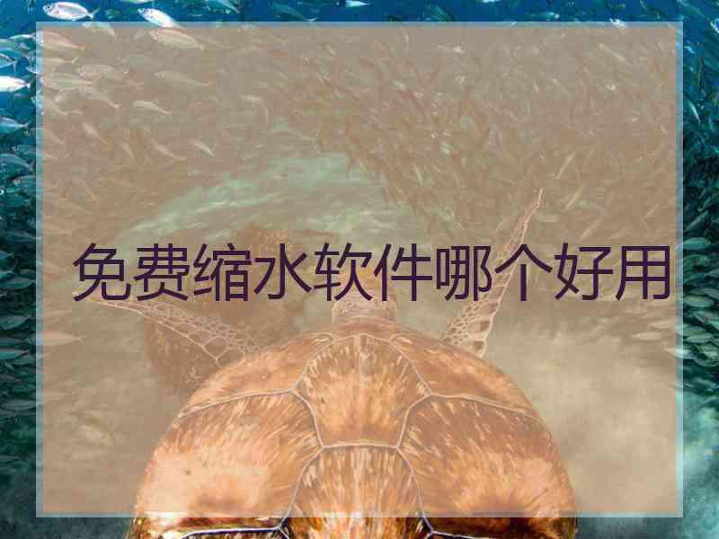 免费缩水软件哪个好用
