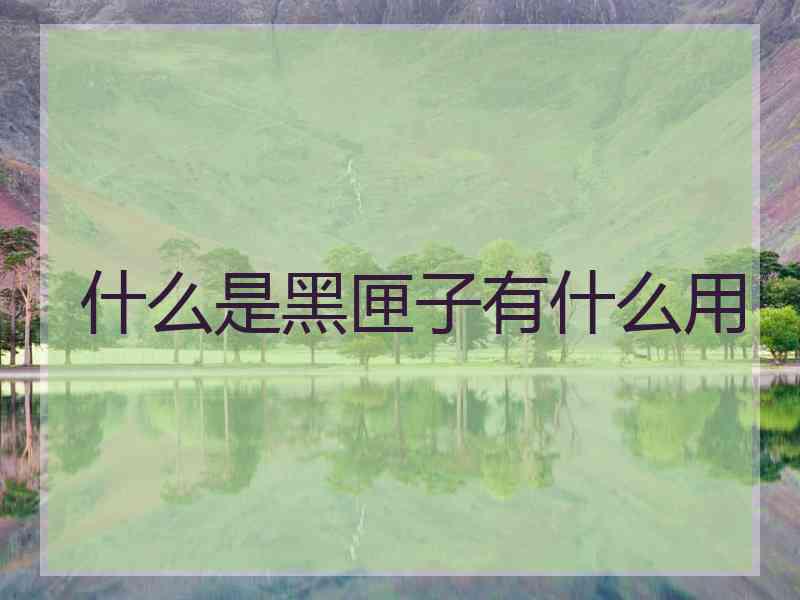 什么是黑匣子有什么用