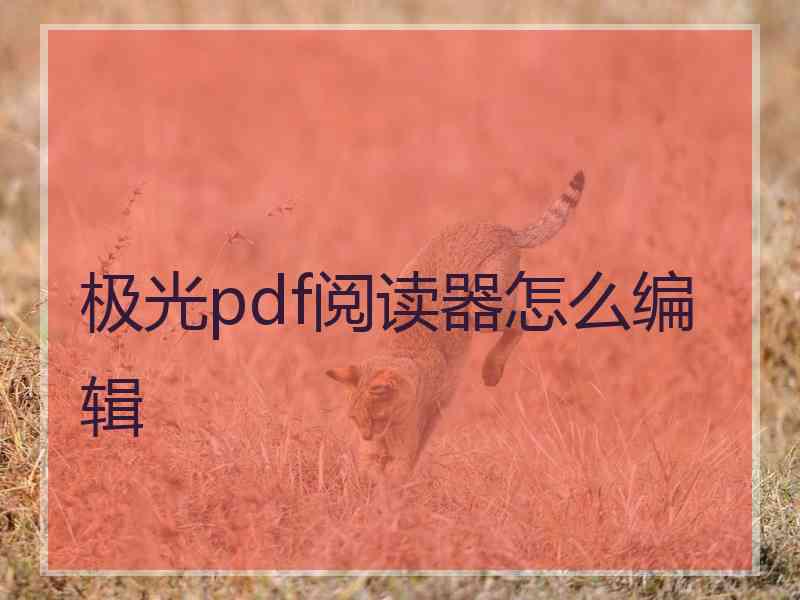 极光pdf阅读器怎么编辑