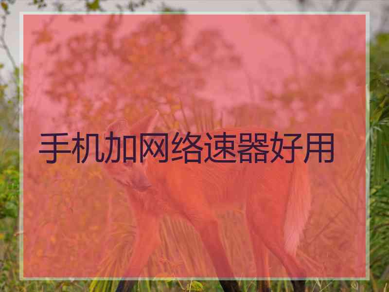 手机加网络速器好用