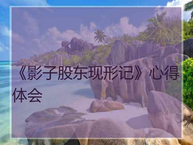 《影子股东现形记》心得体会