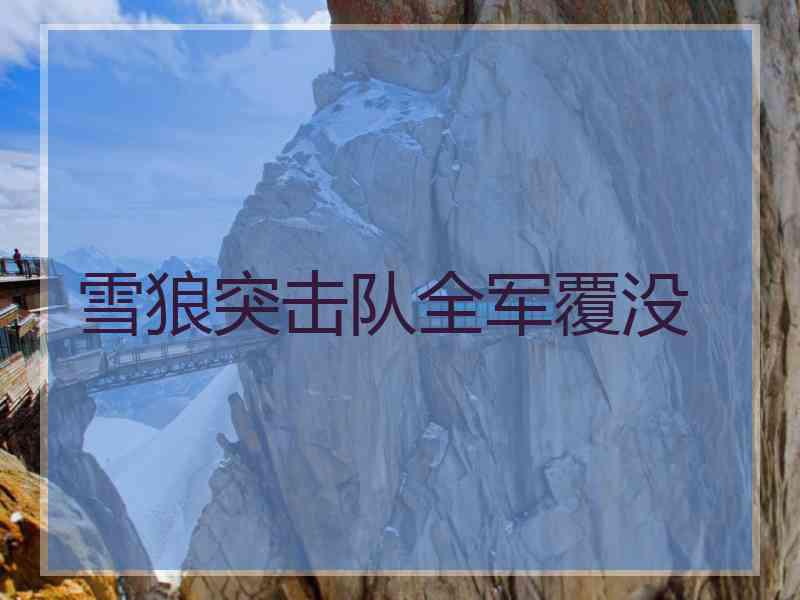 雪狼突击队全军覆没