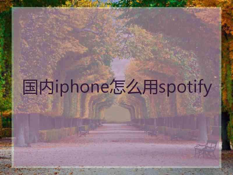 国内iphone怎么用spotify