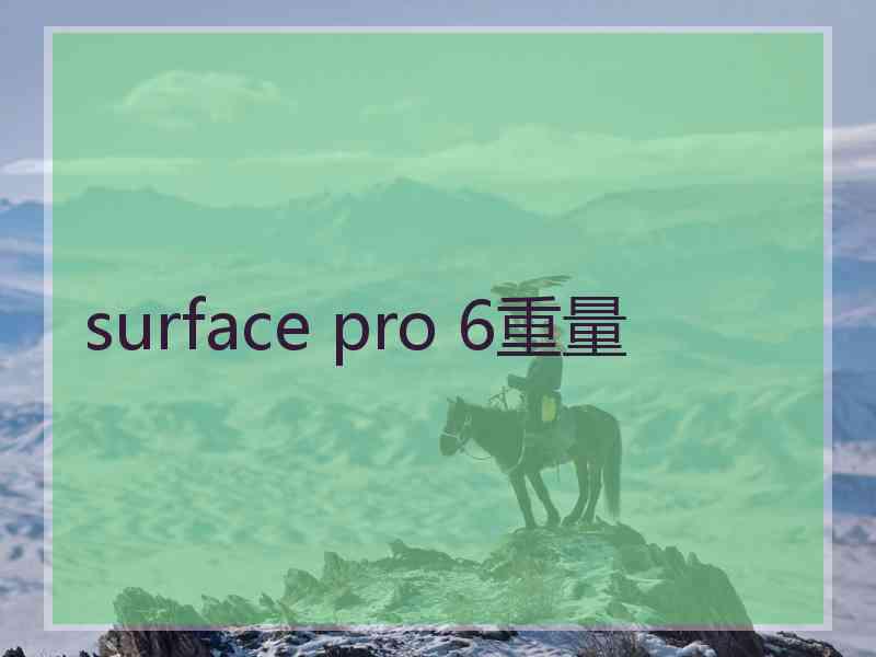 surface pro 6重量