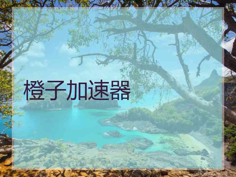 橙子加速器