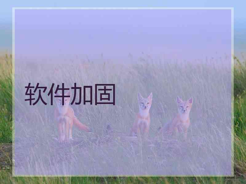 软件加固