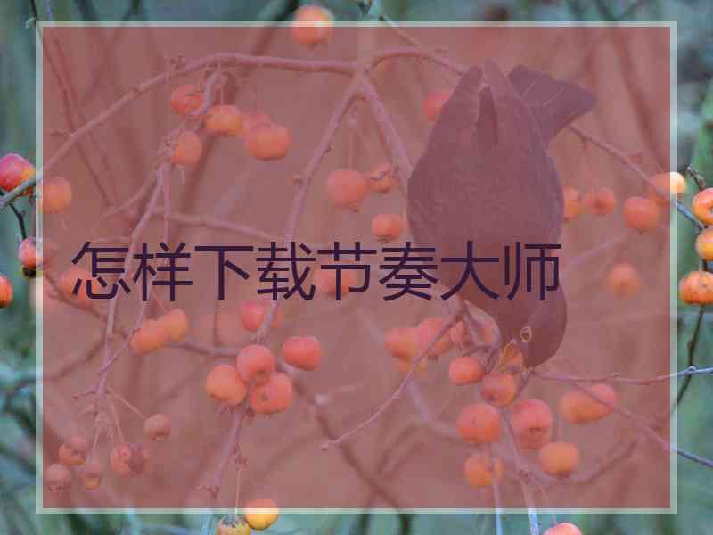 怎样下载节奏大师