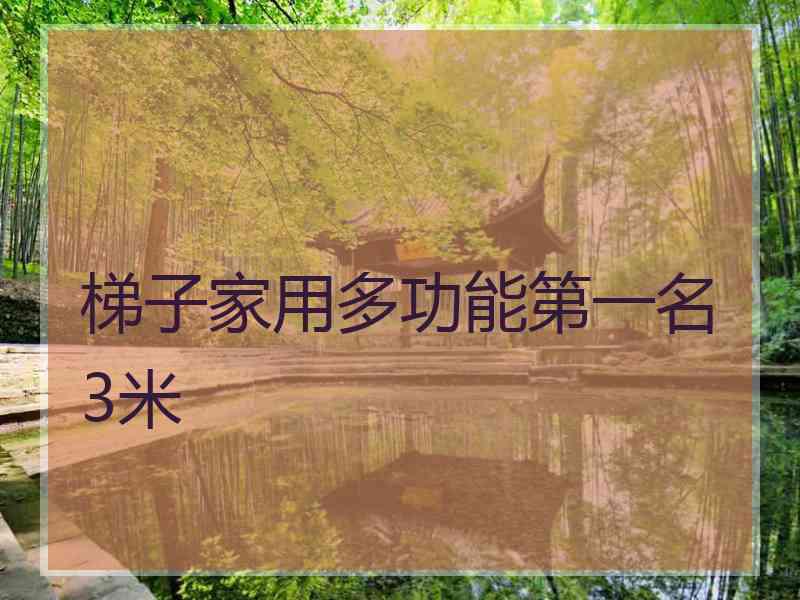 梯子家用多功能第一名3米