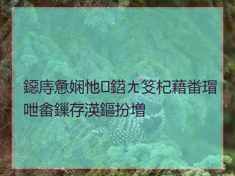鐚庤惫娴忚鍣ㄤ笅杞藉畨瑁呭畬鏁存渶鏂扮増