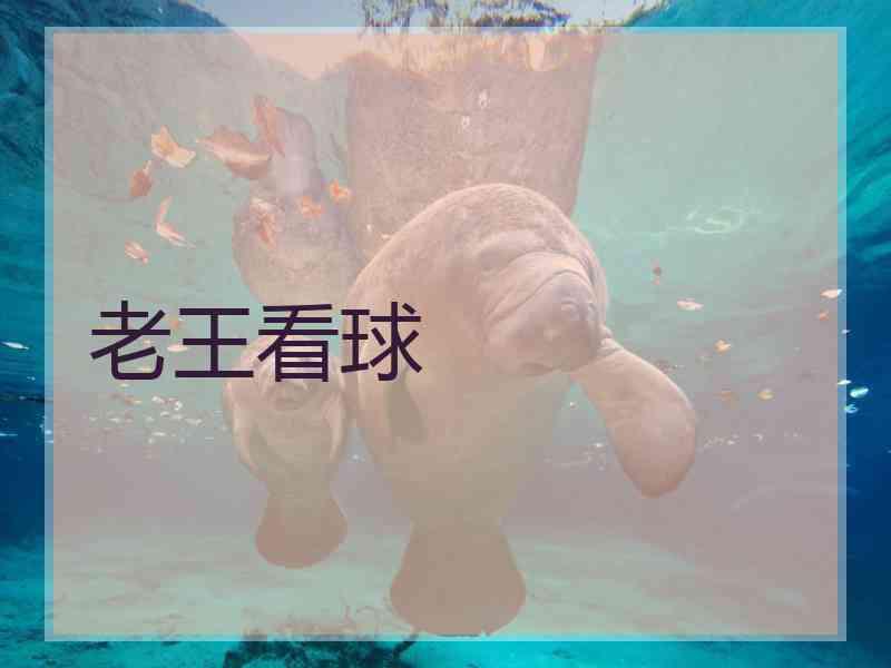 老王看球
