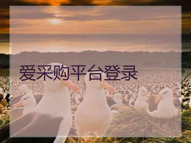 爱采购平台登录