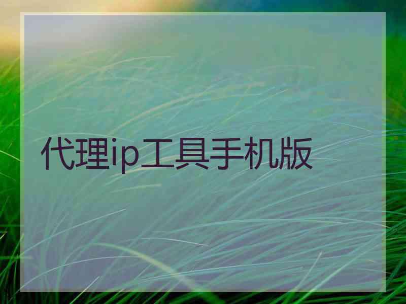 代理ip工具手机版