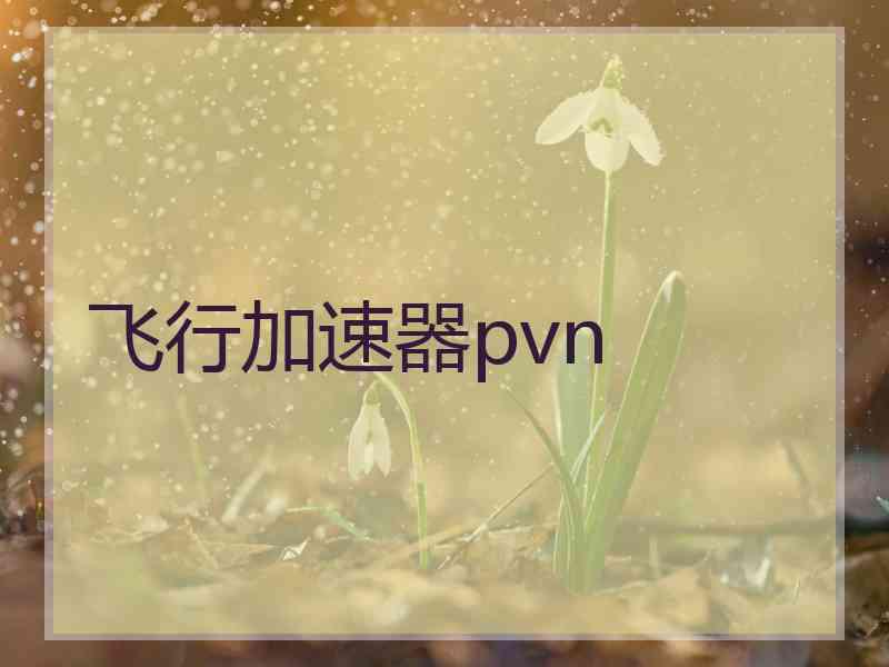 飞行加速器pvn